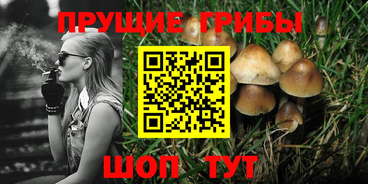 Псилоцибиновые грибы прущие грибы  Вход с VPN  Лесосибирск 